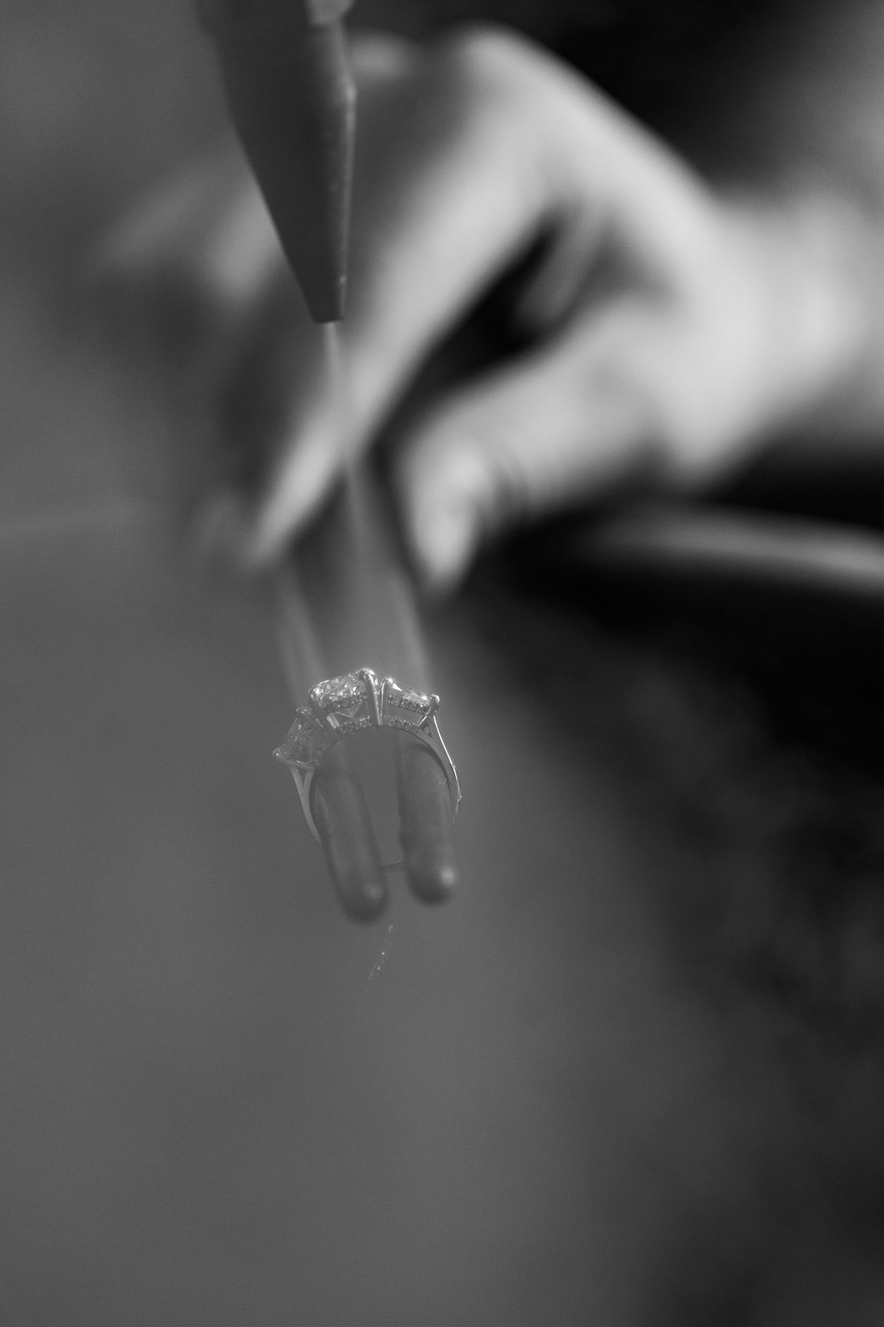 Brand Collaboration fine art photograph by Indira Thakur